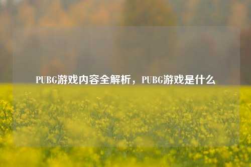 PUBG游戏内容全解析,PUBG游戏是什么
