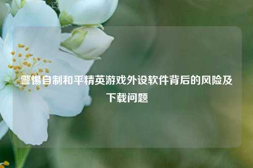 警惕自制和平精英游戏外设软件背后的风险及下载问题