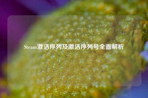 Steam激活序列及激活序列号全面解析
