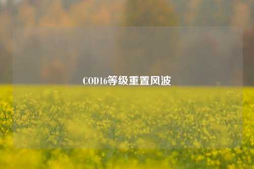 COD16等级重置风波