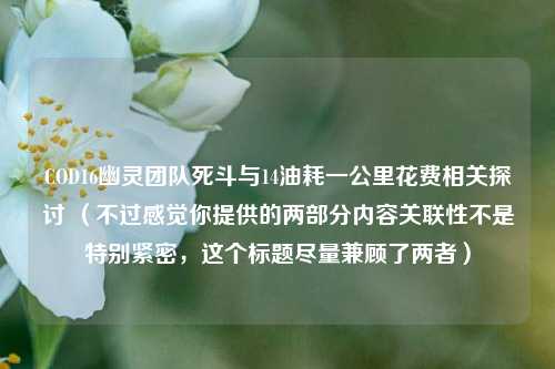 COD16幽灵团队死斗与14油耗一公里花费相关探讨 (不过感觉你提供的两部分内容关联性不是特别紧密,这个标题尽量兼顾了两者)