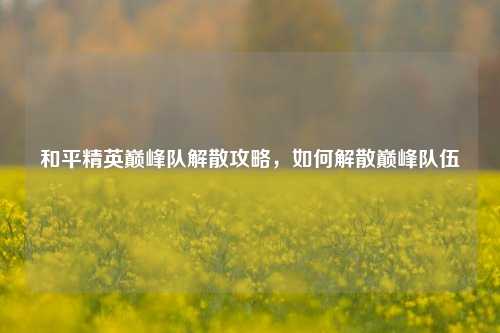 和平精英巅峰队解散攻略,如何解散巅峰队伍