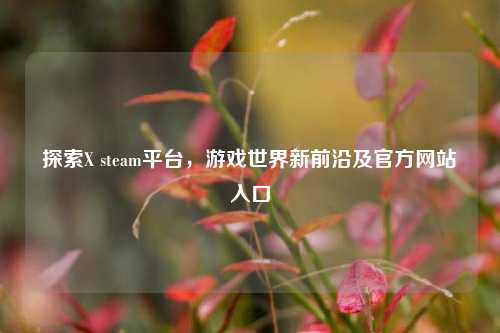 探索X steam平台，游戏世界新前沿及官方网站入口
