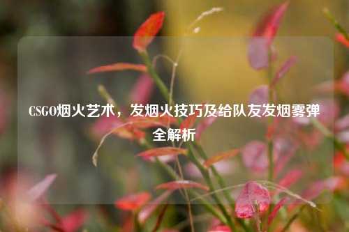 CSGO烟火艺术,发烟火技巧及给队友发烟雾弹全解析