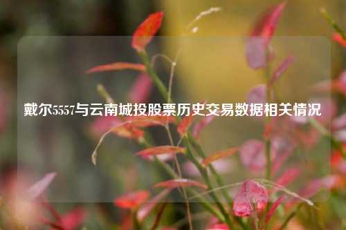 戴尔5557与云南城投股票历史交易数据相关情况