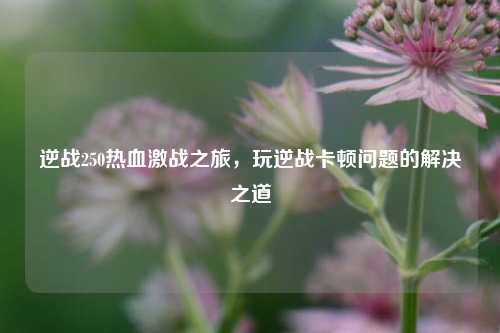 逆战250热血激战之旅,玩逆战卡顿问题的解决之道