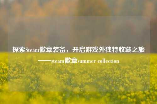 探索Steam徽章装备，开启游戏外独特收藏之旅——steam徽章summer collection