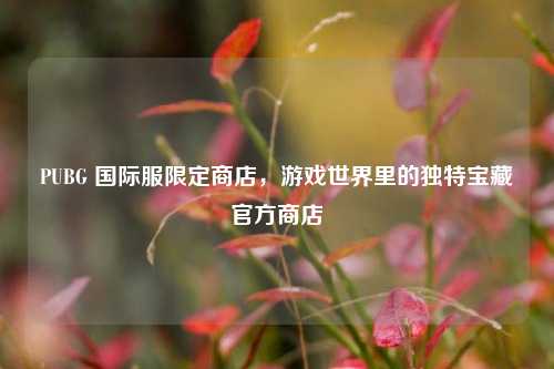 PUBG 国际服限定商店，游戏世界里的独特宝藏官方商店