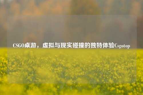 CSGO桌游,虚拟与现实碰撞的独特体验Csgotop