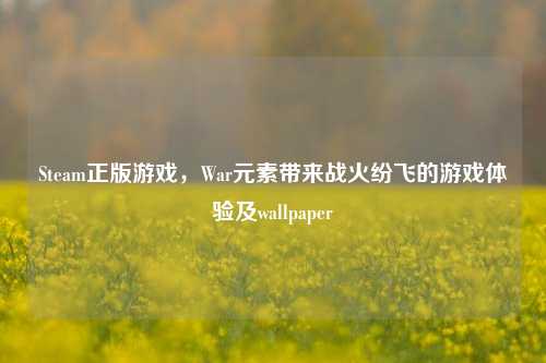 Steam正版游戏,War元素带来战火纷飞的游戏体验及wallpaper