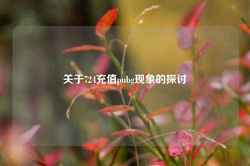 关于724充值pubg现象的探讨
