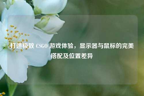 打造极致 CSGO 游戏体验,显示器与鼠标的完美搭配及位置差异