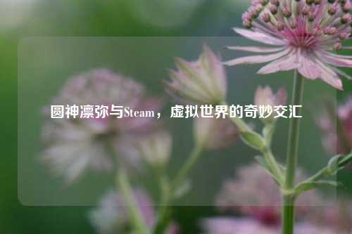 圆神凛弥与Steam,虚拟世界的奇妙交汇