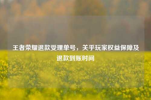 王者荣耀退款受理单号，关乎玩家权益保障及退款到账时间