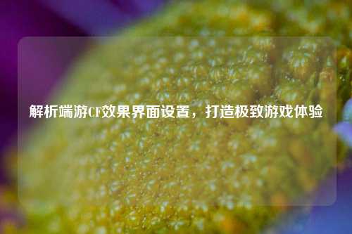 解析端游CF效果界面设置，打造极致游戏体验