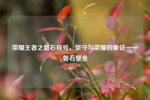 荣耀王者之磐石称号,坚守与荣耀的象征——磐石壁垒