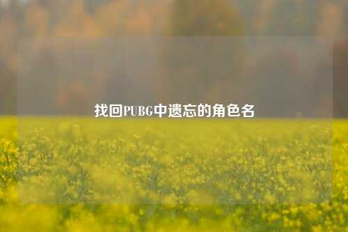 找回PUBG中遗忘的角色名