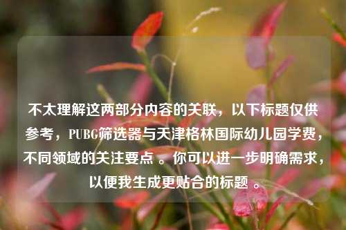 不太理解这两部分内容的关联,以下标题仅供参考,PUBG筛选器与天津格林国际幼儿园学费,不同领域的关注要点 。你可以进一步明确需求,以便我生成更贴合的标题 。