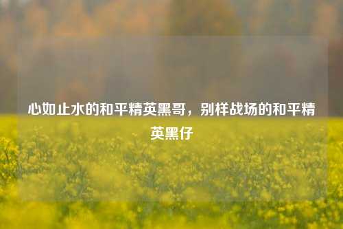 心如止水的和平精英黑哥，别样战场的和平精英黑仔