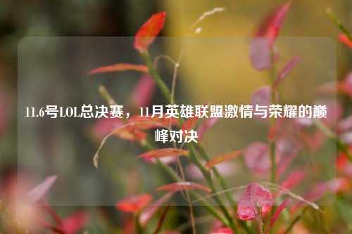11.6号LOL总决赛，11月英雄联盟激情与荣耀的巅峰对决