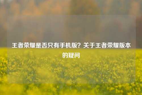 王者荣耀是否只有手机版?关于王者荣耀版本的疑问
