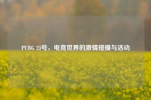 PUBG 23号,电竞世界的激情碰撞与活动