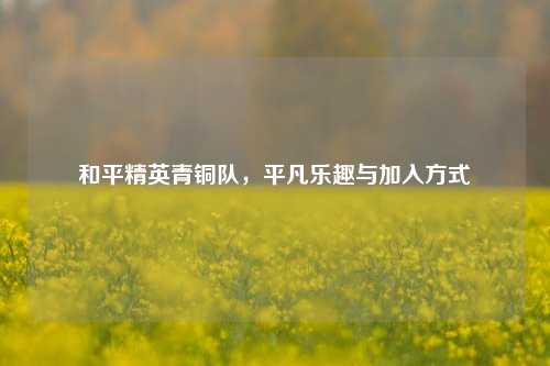 和平精英青铜队,平凡乐趣与加入方式