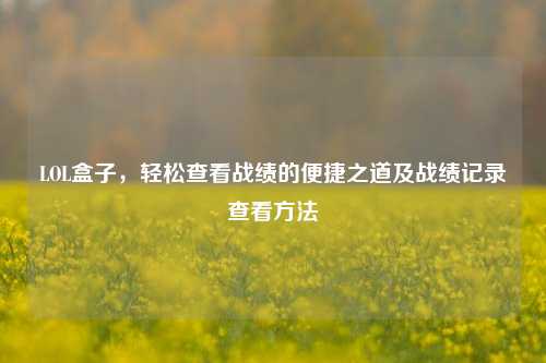 LOL盒子,轻松查看战绩的便捷之道及战绩记录查看方法