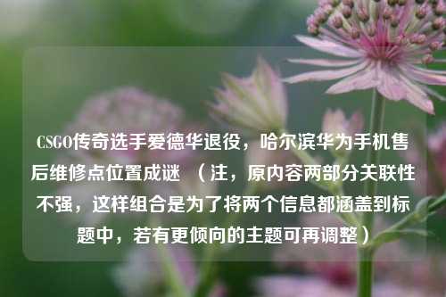 CSGO传奇选手爱德华退役,哈尔滨华为手机售后维修点位置成谜 (注,原内容两部分关联性不强,这样组合是为了将两个信息都涵盖到标题中,若有更倾向的主题可再调整)