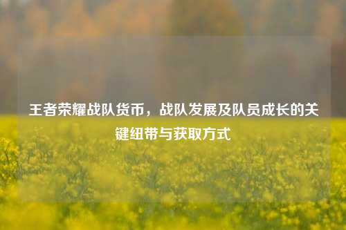 王者荣耀战队货币,战队发展及队员成长的关键纽带与获取方式