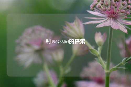 对1967850cf的探索