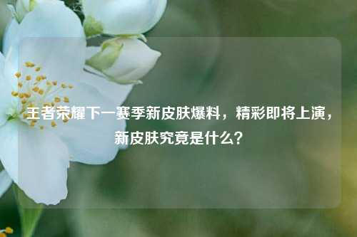 王者荣耀下一赛季新皮肤爆料,精彩即将上演,新皮肤究竟是什么?