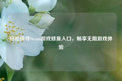 轻松探寻Steam游戏修复入口,畅享无阻游戏体验
