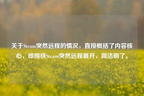 关于Steam突然远程的情况,直接概括了内容核心,即围绕Steam突然远程展开,简洁明了。