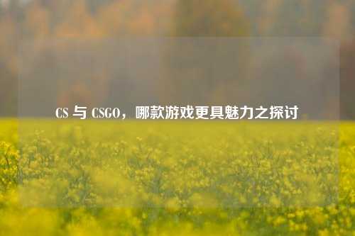 CS 与 CSGO,哪款游戏更具魅力之探讨