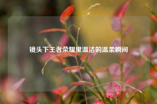 镜头下王者荣耀里温洁的温柔瞬间