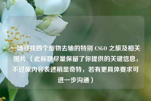 一场寻找四个废物去输的特别 CSGO 之旅及相关图片 (此标题尽量保留了你提供的关键信息,不过原内容表述稍显奇特,若有更具体要求可进一步沟通)