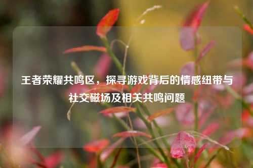 王者荣耀共鸣区,探寻游戏背后的情感纽带与社交磁场及相关共鸣问题