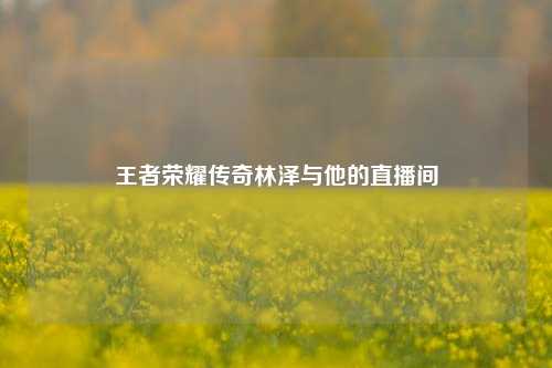 王者荣耀传奇林泽与他的直播间