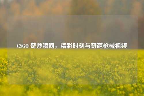 CSGO 奇妙瞬间,精彩时刻与奇葩枪械视频