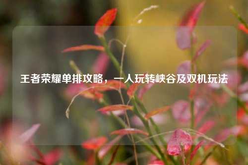 王者荣耀单排攻略,一人玩转峡谷及双机玩法