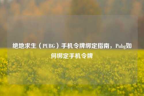 绝地求生(PUBG)手机令牌绑定指南,Pubg如何绑定手机令牌