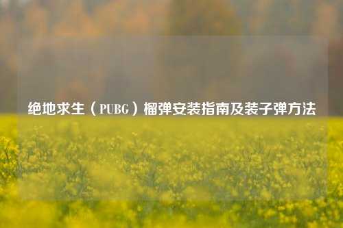 绝地求生(PUBG)榴弹安装指南及装子弹方法