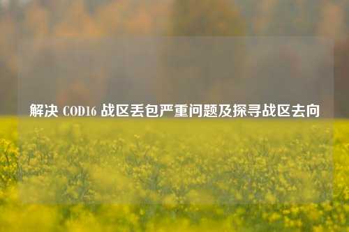 解决 COD16 战区丢包严重问题及探寻战区去向