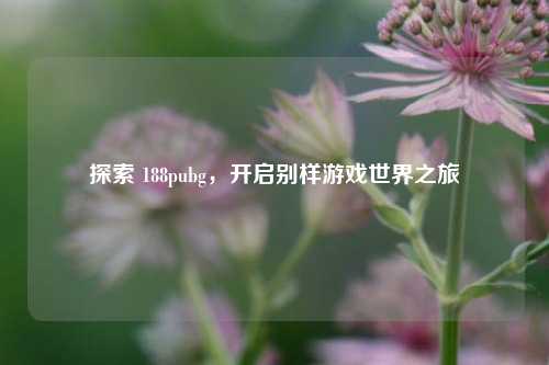 探索 188pubg，开启别样游戏世界之旅