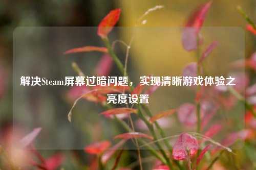 解决Steam屏幕过暗问题，实现清晰游戏体验之亮度设置