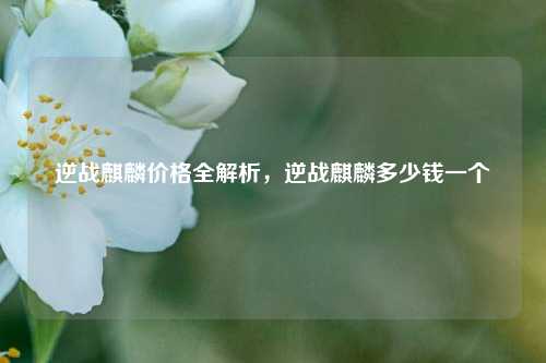 逆战麒麟价格全解析,逆战麒麟多少钱一个