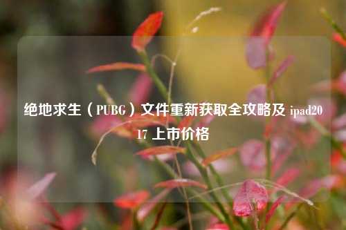绝地求生（PUBG）文件重新获取全攻略及 ipad2017 上市价格