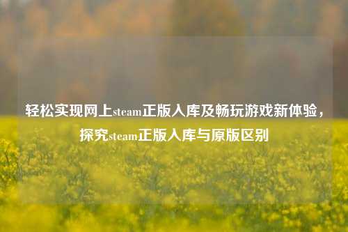 轻松实现网上steam正版入库及畅玩游戏新体验,探究steam正版入库与原版区别