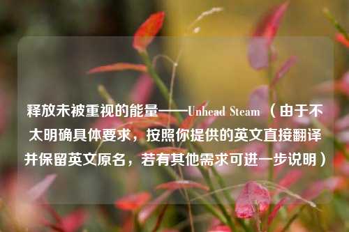 释放未被重视的能量——Unhead Steam (由于不太明确具体要求,按照你提供的英文直接翻译并保留英文原名,若有其他需求可进一步说明)